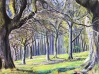 Tim Parker <a href="https://tim2.farthings.me" target="_blank" rel="noopener noreferrer">website</a>